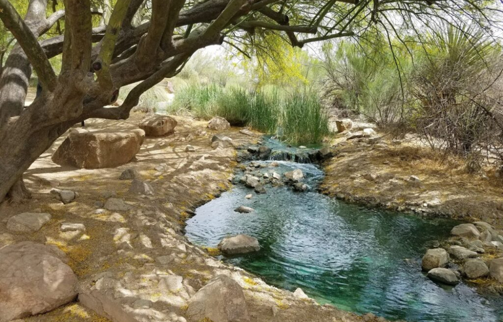 Riparian Preserve at Water Ranch
